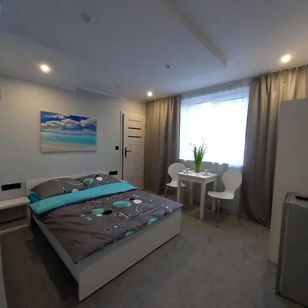 Goscinne U Bosmana Guest house *