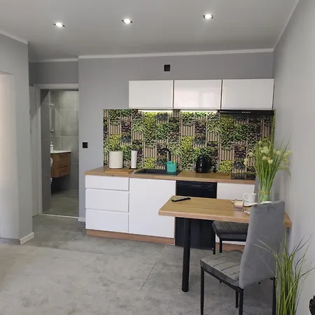 Goscinne U Bosmana 招待所 德兹维济诺