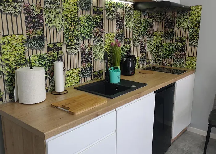 Pensión Goscinne U Bosmana 3*